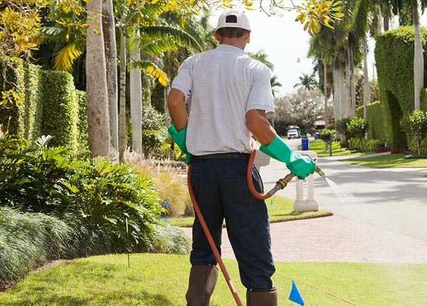 About Eagle WI Pest Control Pros